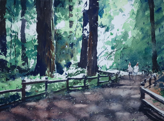 Original Watercolor - Muir Woods National Park